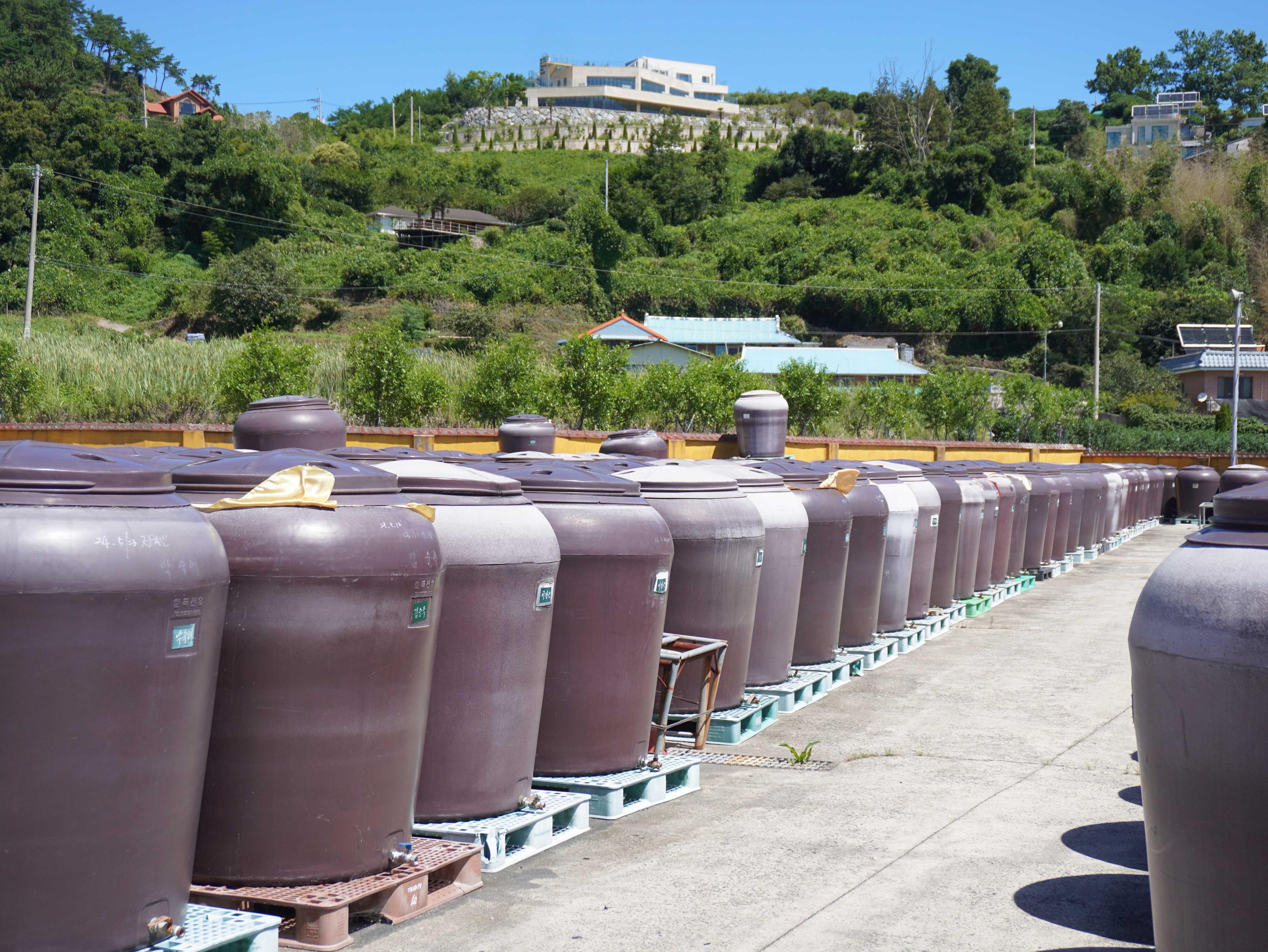 삼동의 삶 6_ 항아리에서 익어가는 남해의 깊은 맛