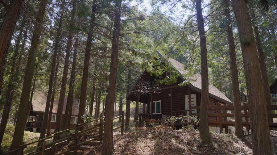 삼동의 삶 3_삼동, 숲에서의 하루